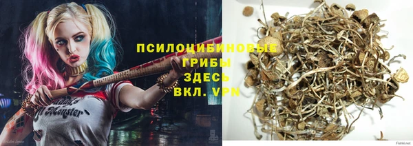 амфетамин Алексин