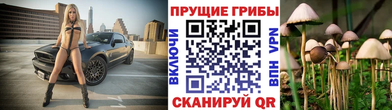 Галлюциногенные грибы Psilocybine cubensis где продают Хотьково